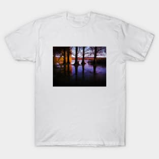 Autumn tree reflection in water landscape photography T-Shirt